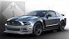 Raffle Tickets on Sale for a Chance to Win a One-of-a-Kind 2013 Ford Mustang Boss 302-lagunaraffle.jpg