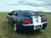 View Image