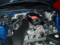 View Image