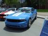 Rocky Mountain Mustang Round Up 2011