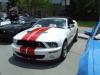 Rocky Mountain Mustang Round Up 2011